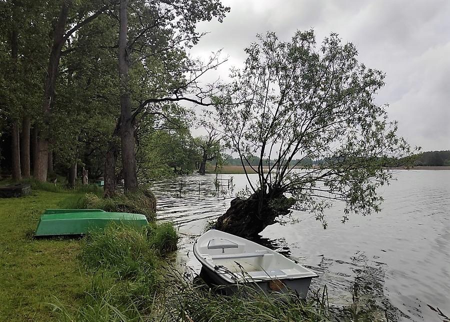 Brzeg Jeziora Lusowskiego