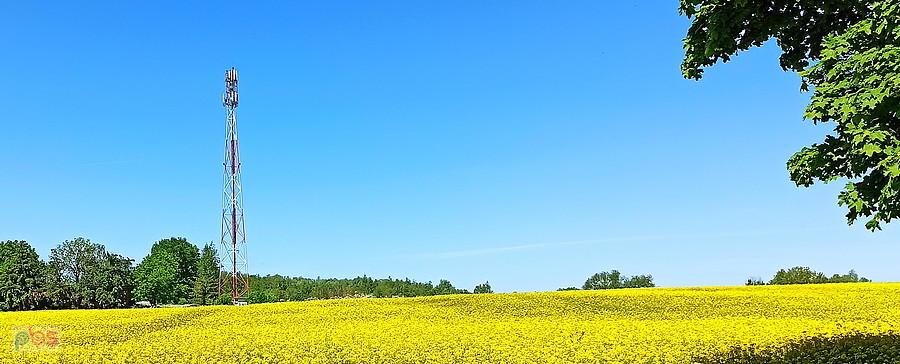 Pod Kołbaskowem.