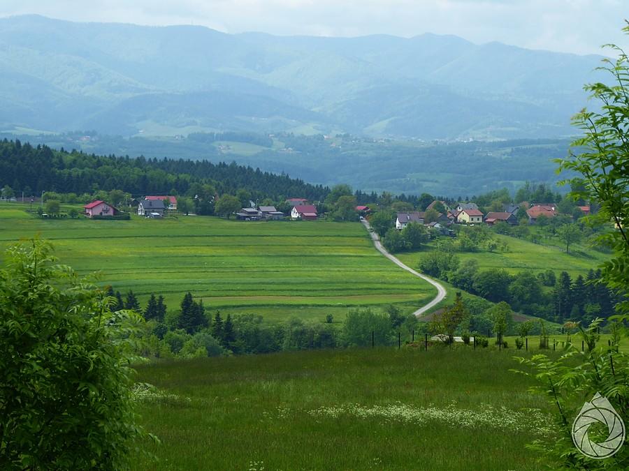jakiś podjazd z Sądeckim i Gorcami w tle