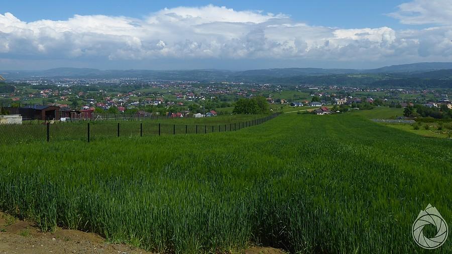 Nowy Suncz znad Łazów Biegonickich