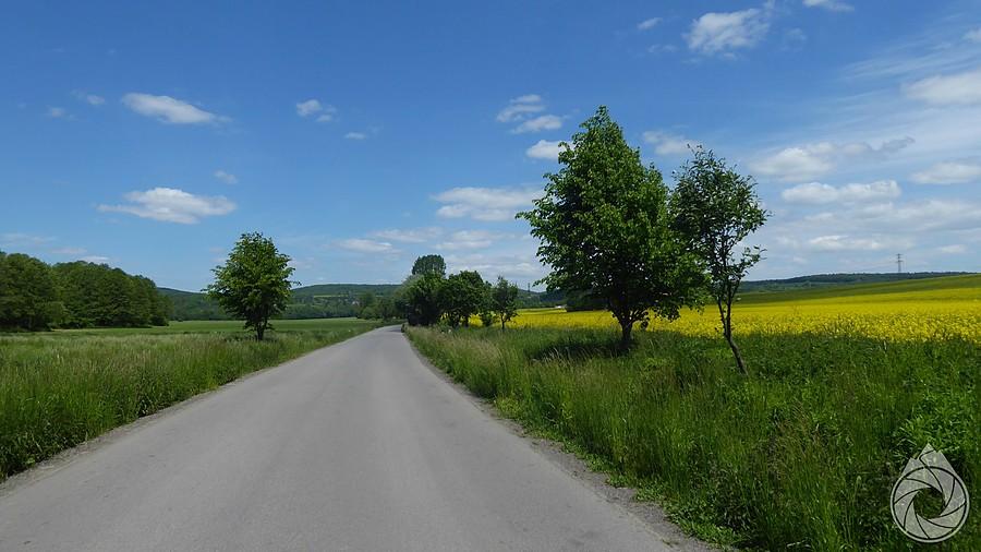 między rzepakami pod Dolinki