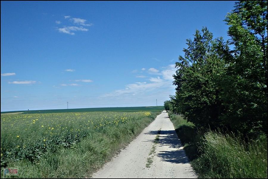 Droga z Namysłowa w kierunku Jeziora Michalickiego