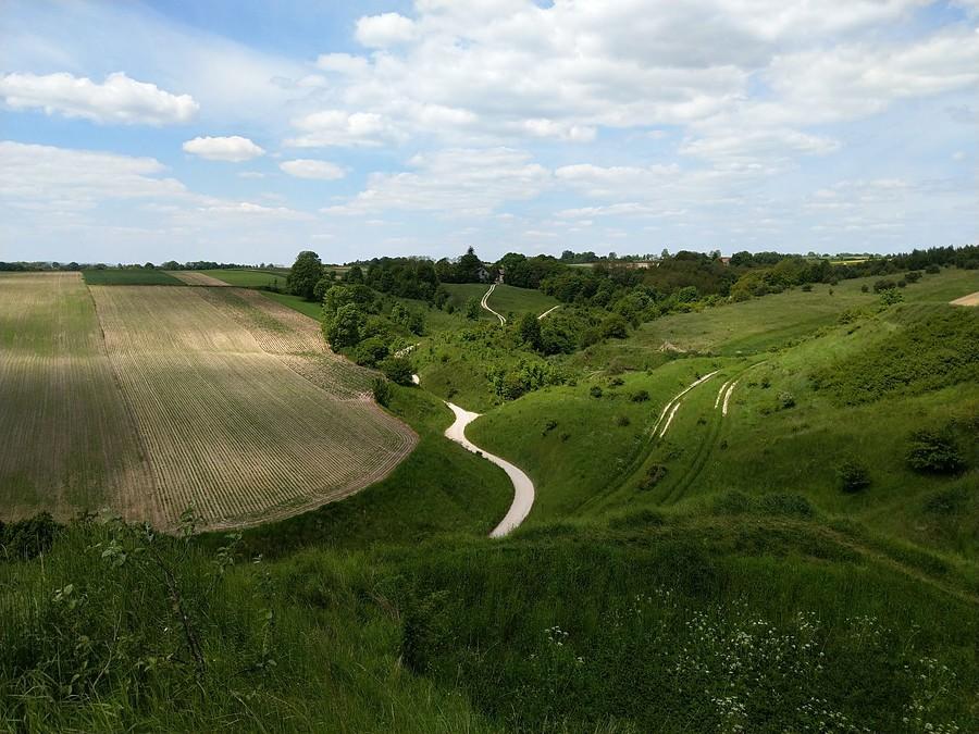 Widoczek z Grodziska