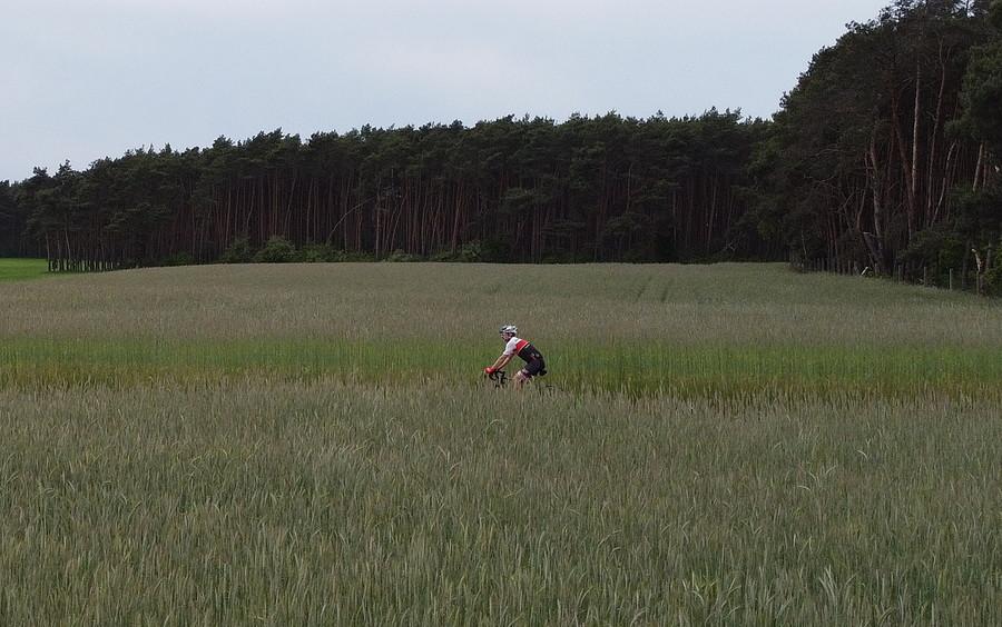 Urok wielkopolskiego i czerwcowego szosowania