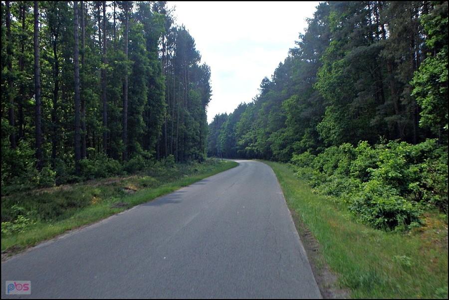 W stronę Brzegu