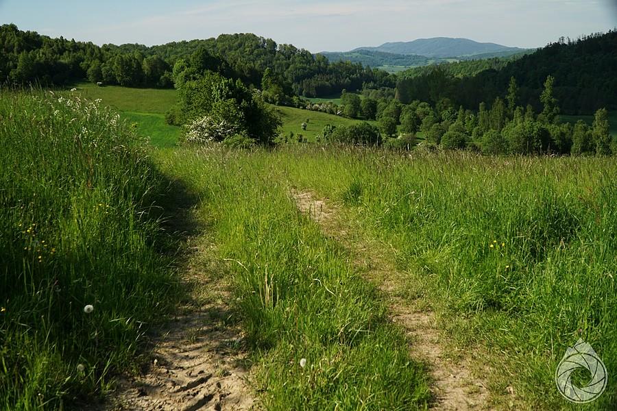 wjazd w łąki nad Waliszowem