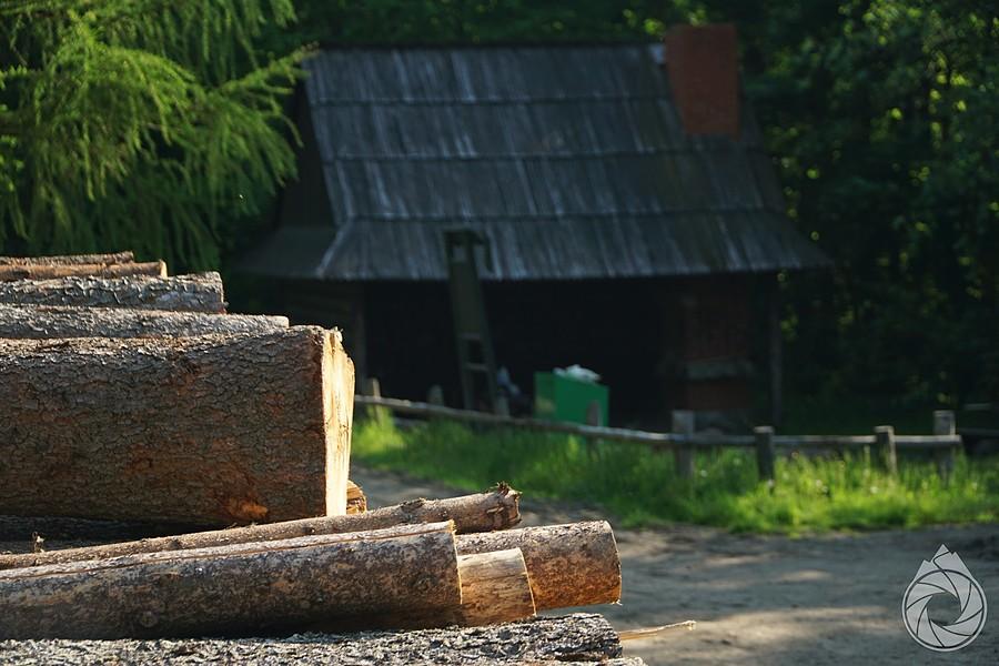 wiata porankowa
