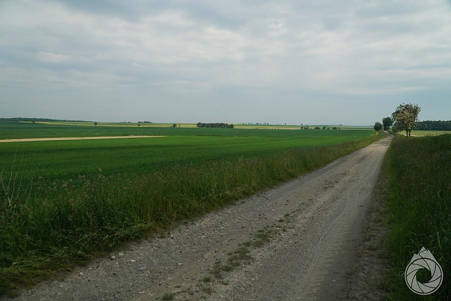 szutry między płaskością