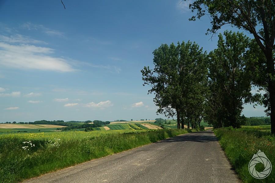 gdzieś tam koło Milic