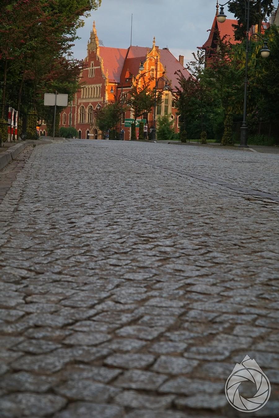bruki Pszczyny