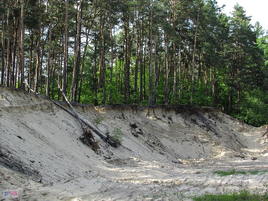 Wyrobisko piachu przy Żółwiowej Górze