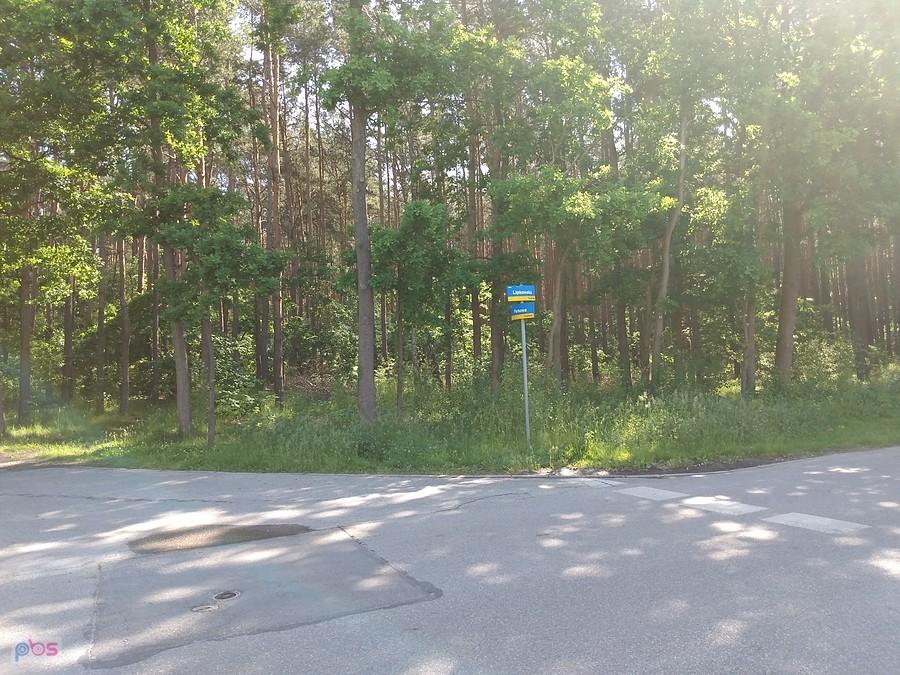 W Truskawiu