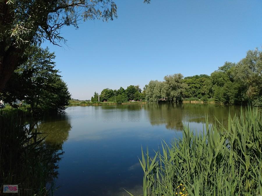 Staw w Zielonkach