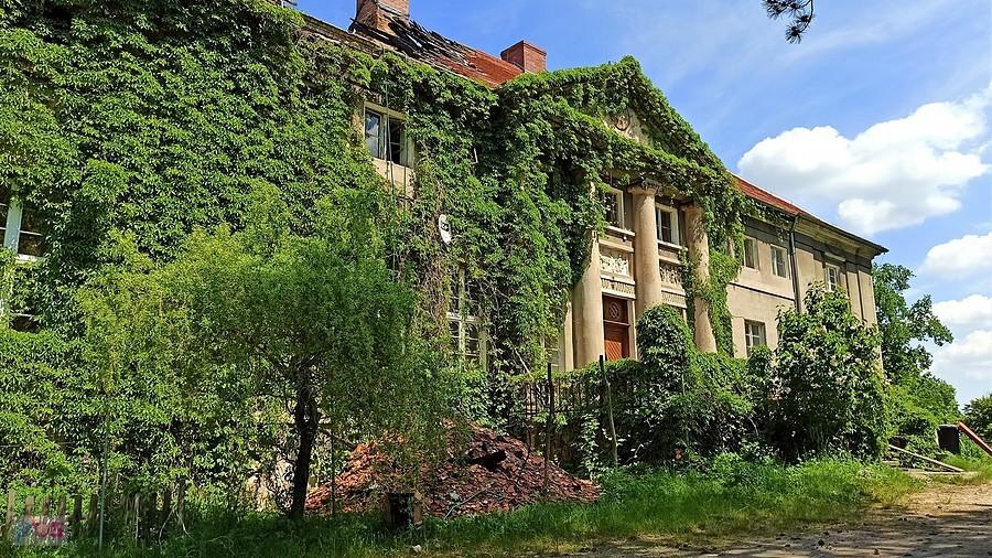 Pałac w Sieroszowicach