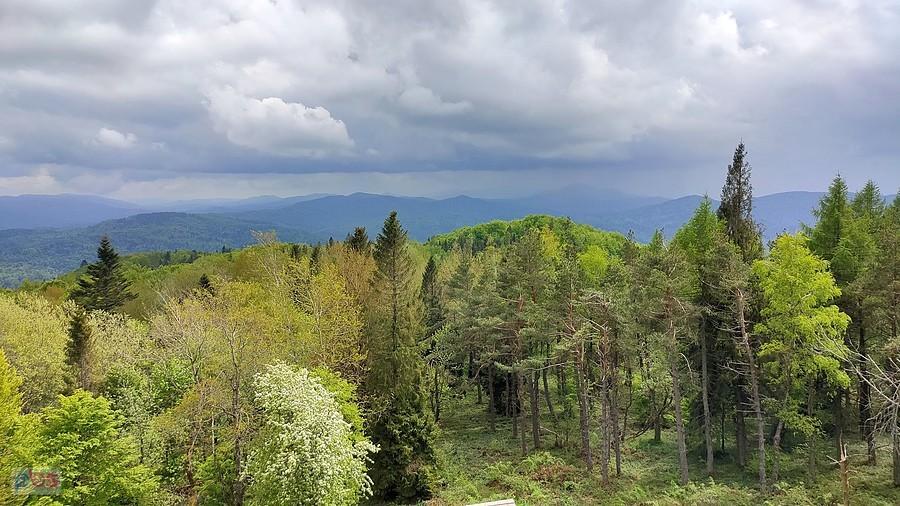 Widok z góry