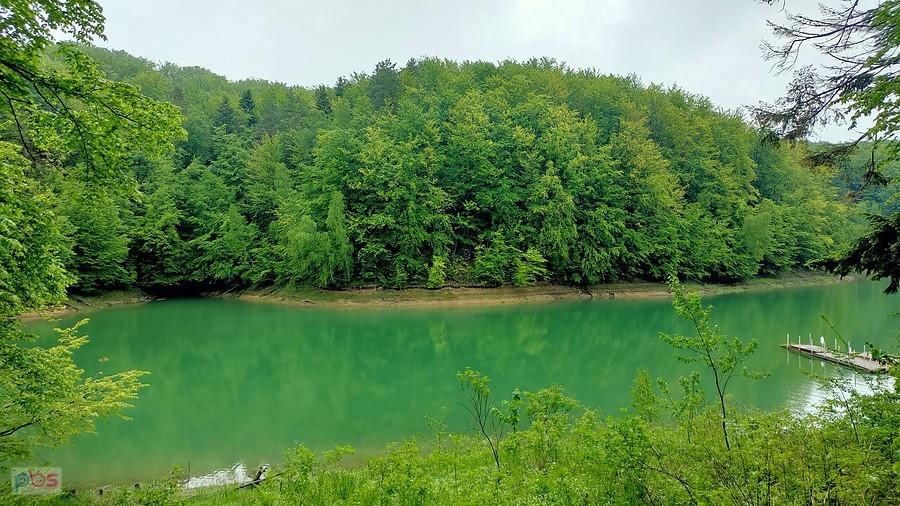 Zielona woda