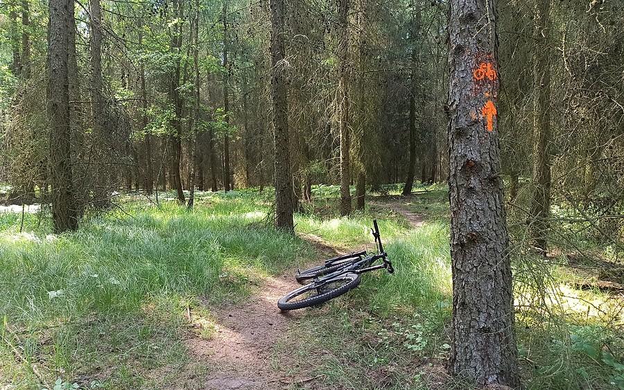 Dotarłem do celu, czas się zabawić Pure MTB