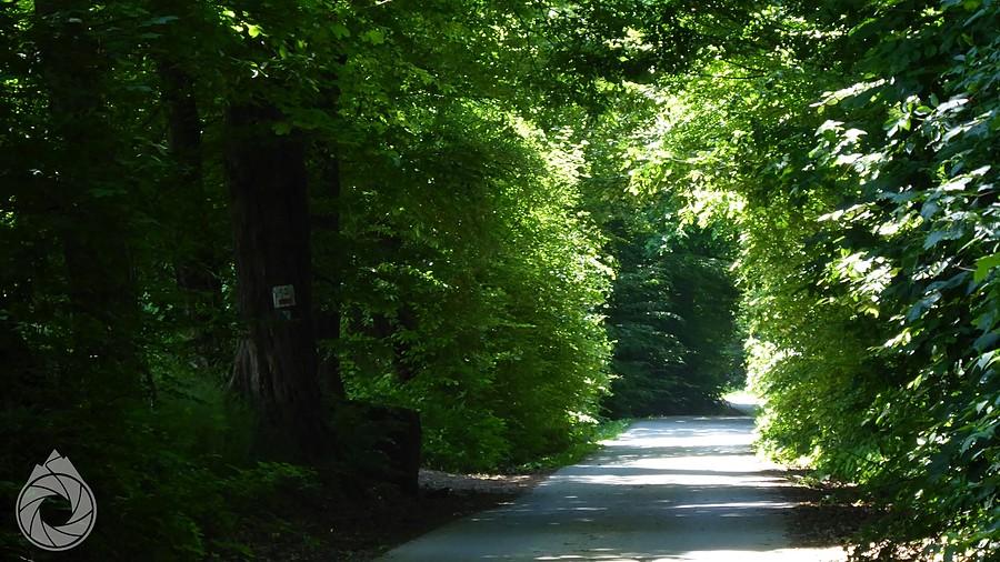 podjazd nad Chrostową