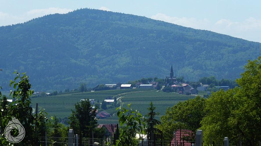 widok na Górę Św.Jana (??)
