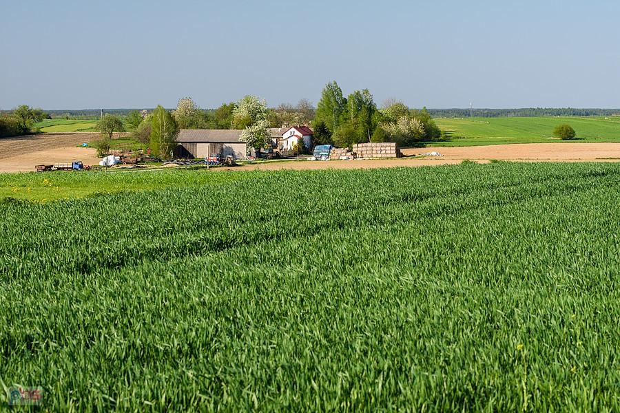 Wyszki - Zawadka