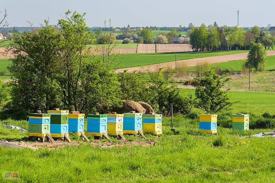 Wyszki - Zawadka