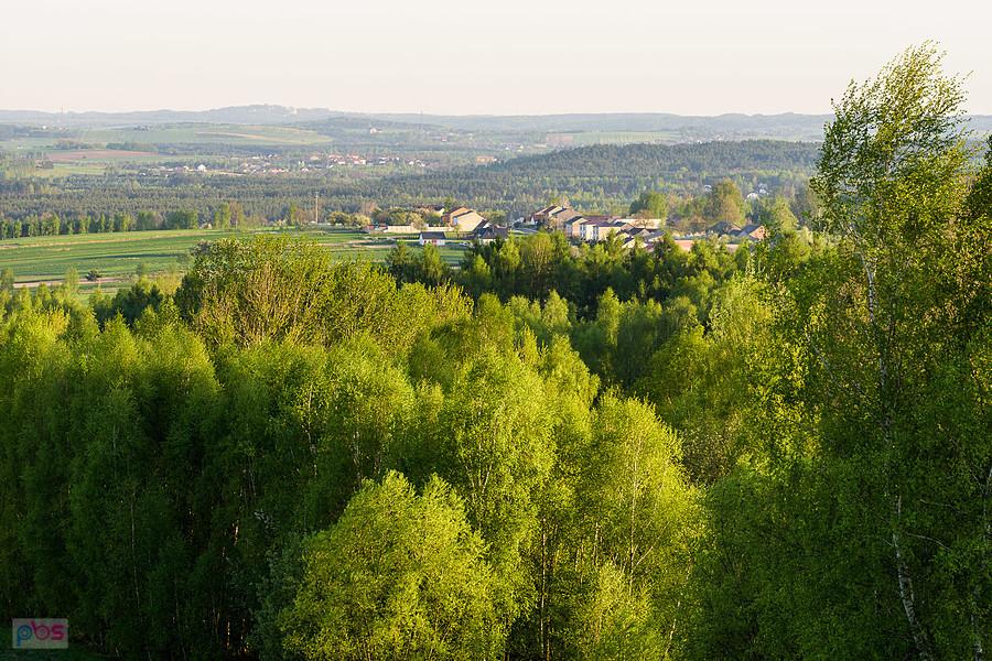 Dzibice - widok w kierunku Kroczyc