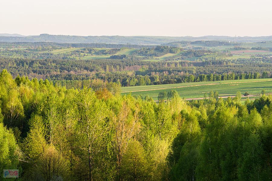Dzibice