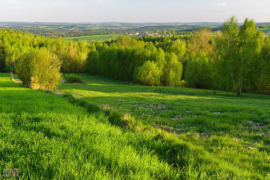 Dzibice - widok na południowy wschód