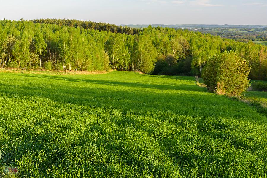 Dzibice - widok na południowy wschód