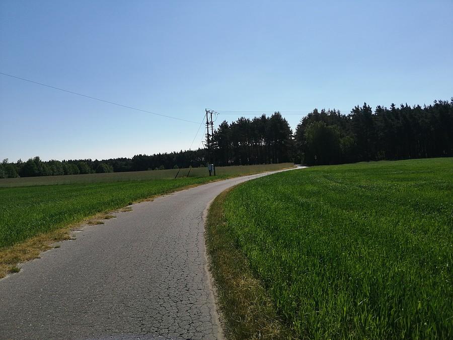 Leśne widoki.