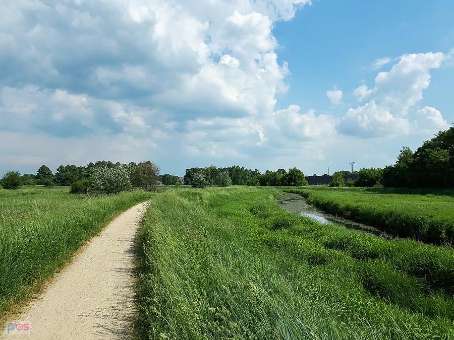 Warta przepływająca przez dzielnicę Zawodzie-Dąbie - Częstochowa.