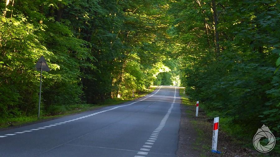 droga z Orzesza na południe