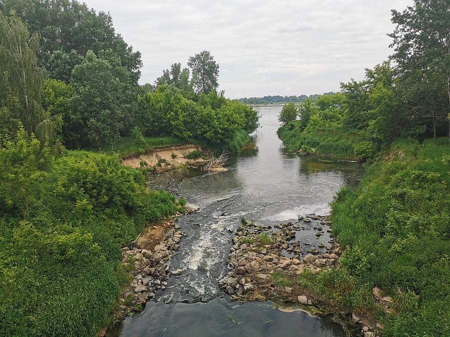 Ujście Jeziorki do Wisły