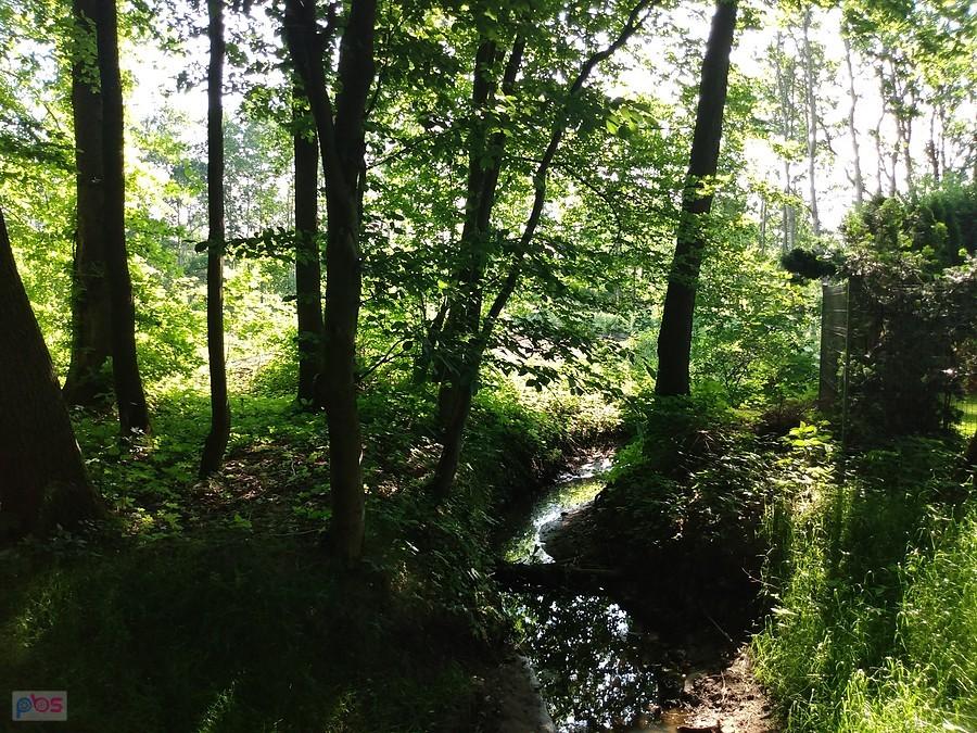 Strumyk w Klaudynie