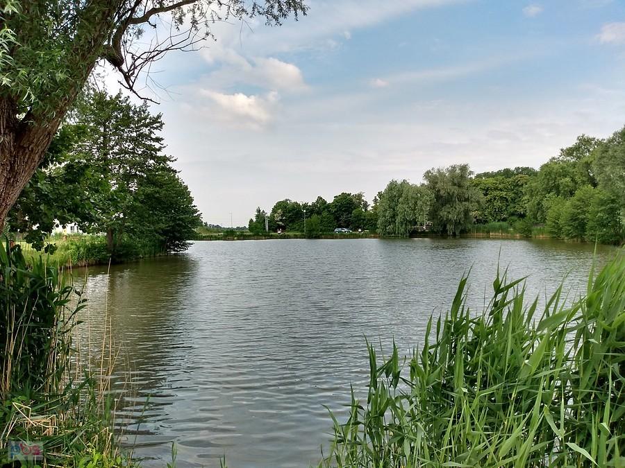 Staw w Zielonkach