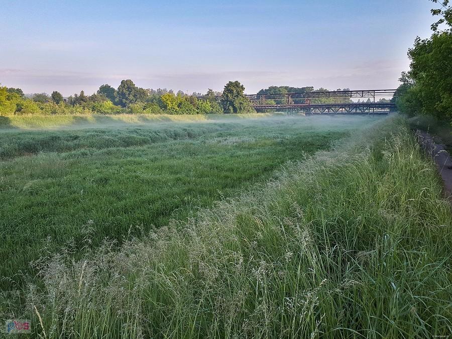 Nad Kucelinką o poranku - odcinek wzdłuż ul. Wojciecha Korfantego w Częstochowie - godz 5:30