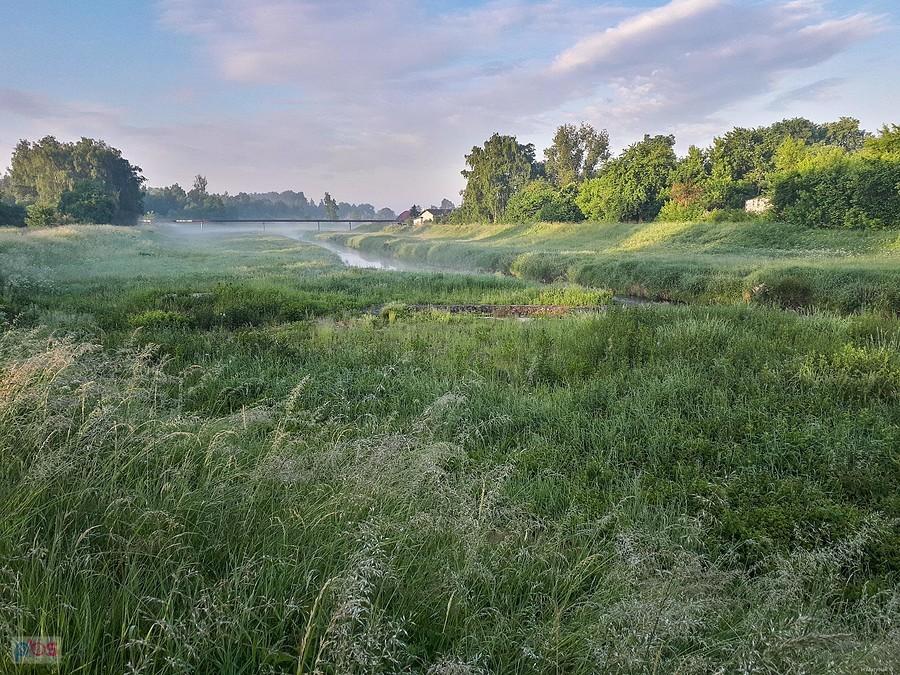 Porankowe klimaty w drodze do pracy - Kucelinka, odcinek wzdłuż ul. Wojciecha Korfantego w Częstochowie - godz 5:30