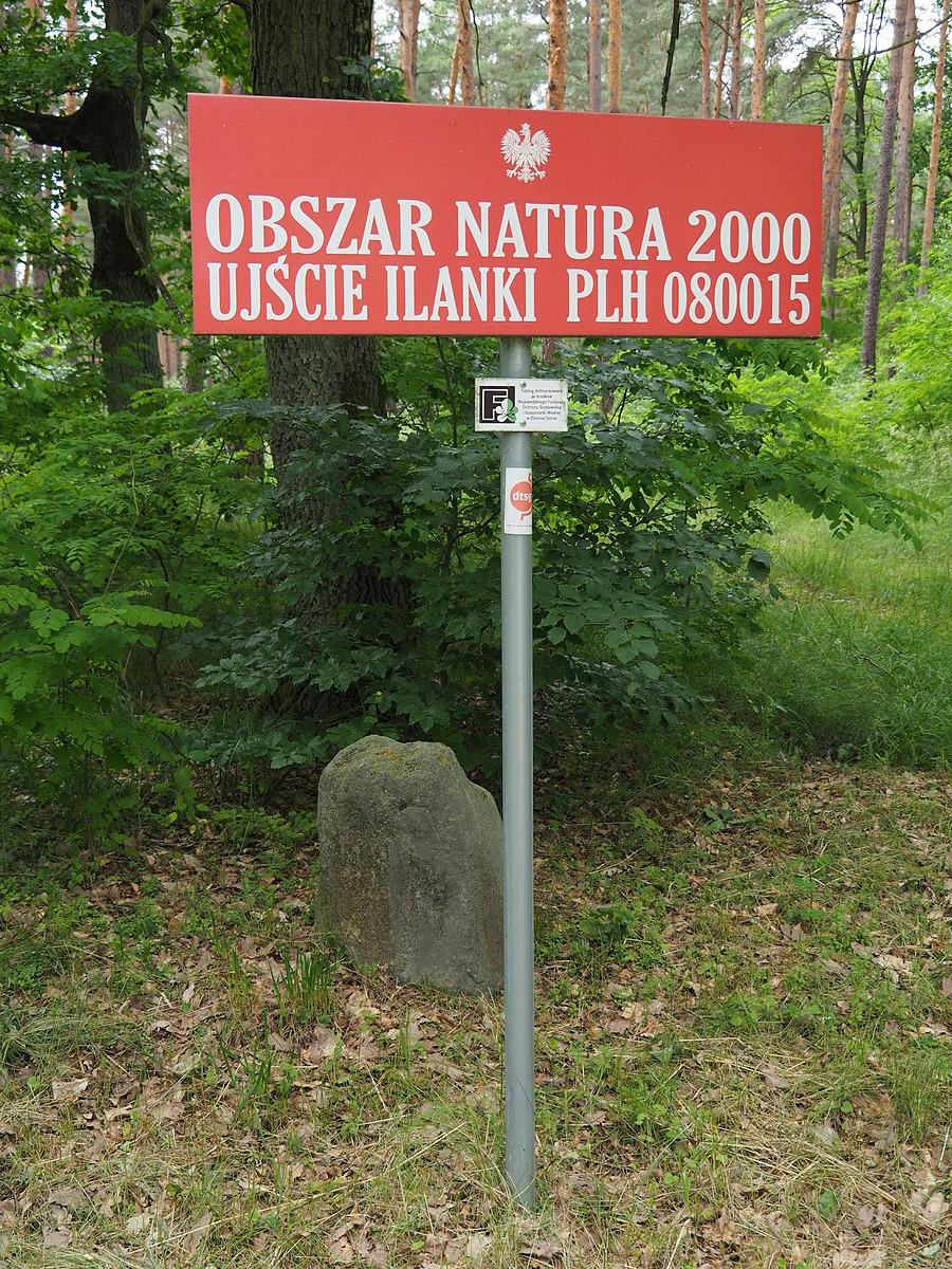 Obszar natura 2000 - Ujście Ilanki