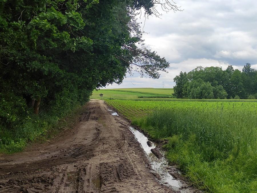 Niełatwa droga do rezerwatu