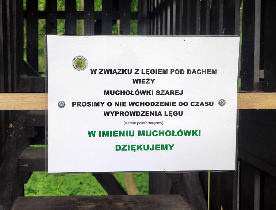 No peszek. Ale niech się pięknie lęgną