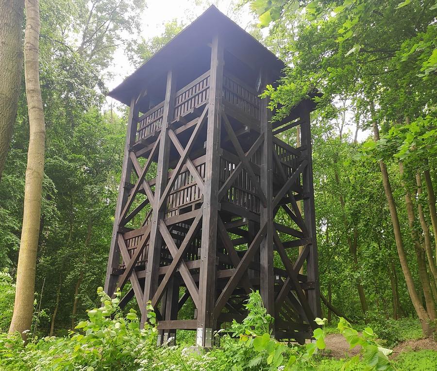 Wieża na bagnach od dołu