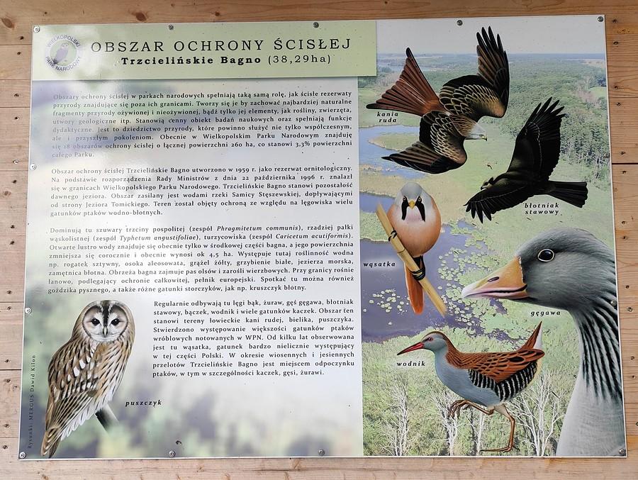 Tablica informacyjna, Trzcielińskie Bagno
