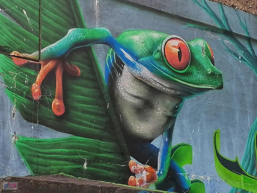 Co się pani tak przyczaiła?