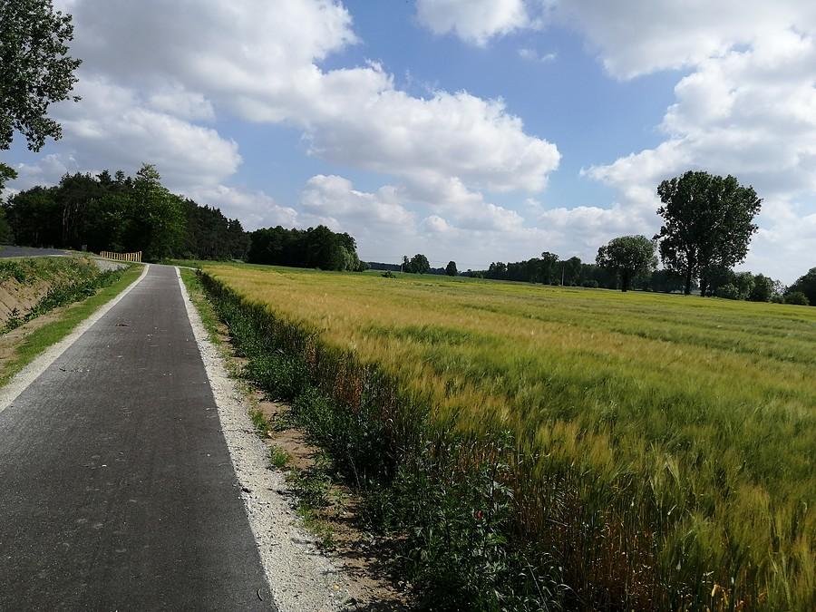 Ścieżka rowerowa łącząca Jarocin z Żerkowem.