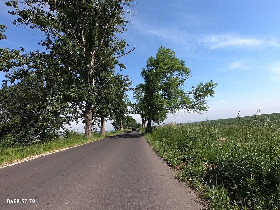 Bujaków