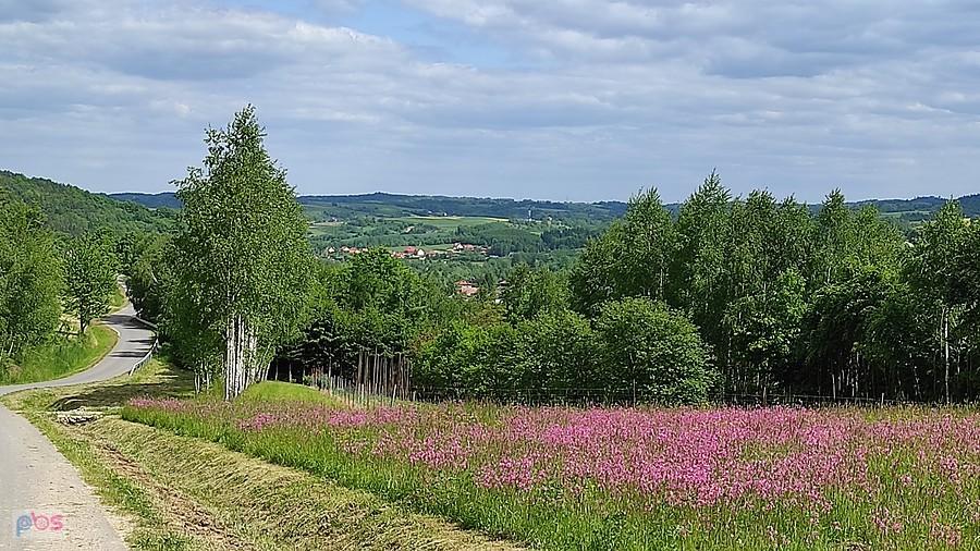 Piękne widoki na trasie