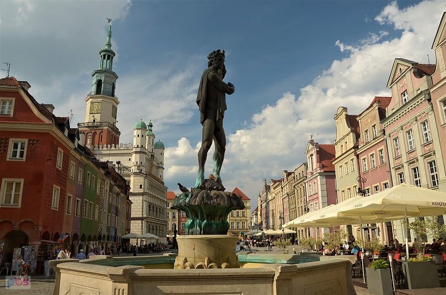 Poznański rynek