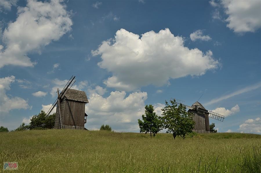 Wiatraki w Moraczewie