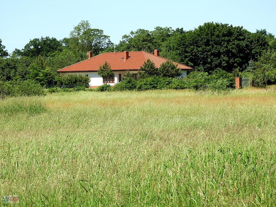 Gdzieś w okolicy Rzędzin.