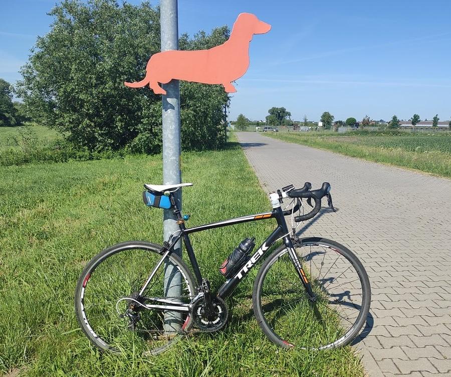 Wjazd do schroniska w Skałowie